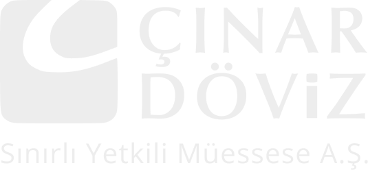 Çınar Döviz Logo